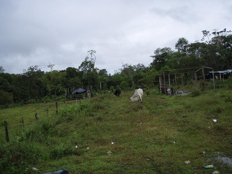 Colombia 2012 (14).JPG